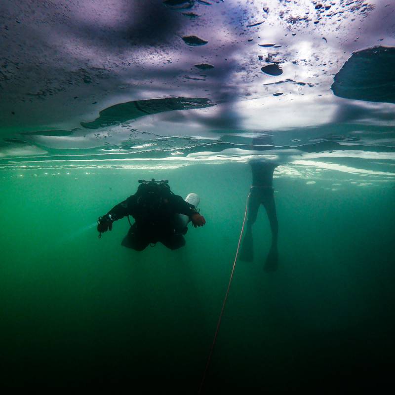 Мероприятие №81