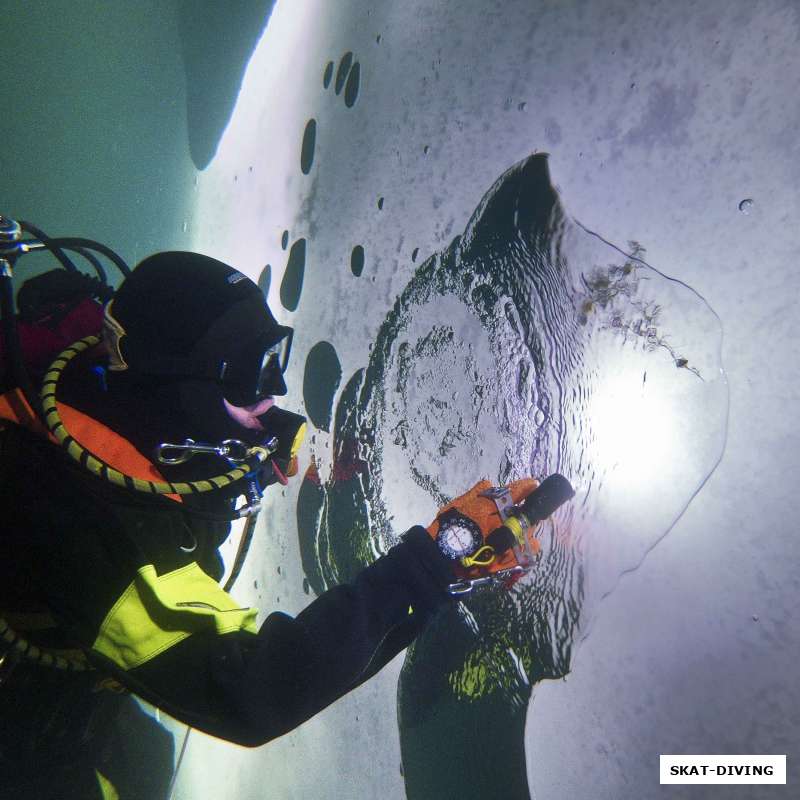 Как же вы повзрослели, дорогие отпрыски мороза!