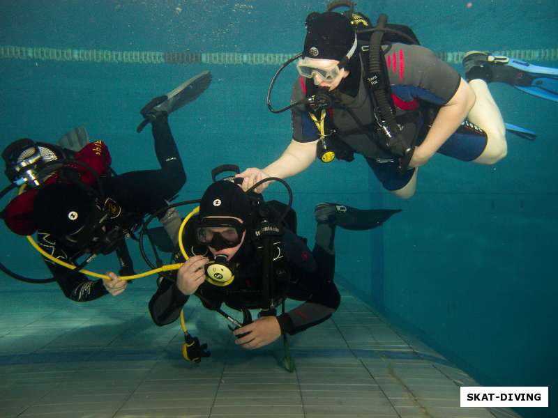 Сразу две группы Open Water Diver успешно сдали экзамены в бассейне!