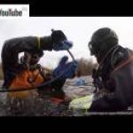 Новость №1241