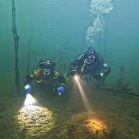 Новость №2156