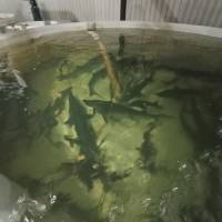 Новость №2161