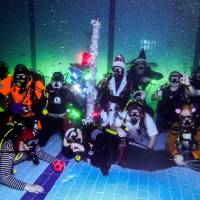 Новость №2183