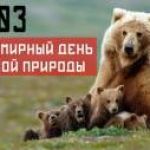 Новость №436