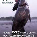 Новость №572