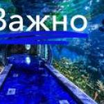 Новость №797