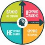 Новость №803