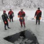 Новость №842
