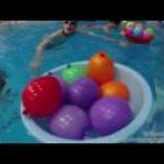Новость №846