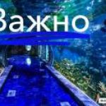 Новость №847