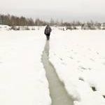 Новость №863
