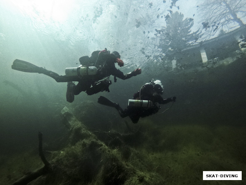 Волков Андрей, Саманцов Константин, когда смотришь на такие фотографии ахаешь от истинного масштаба происходящего под водой