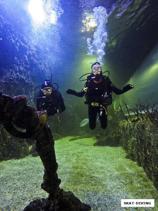 Тюрин Юрий, Тюрина Анастасия, и удивительные цвета этого маленького подводного мира