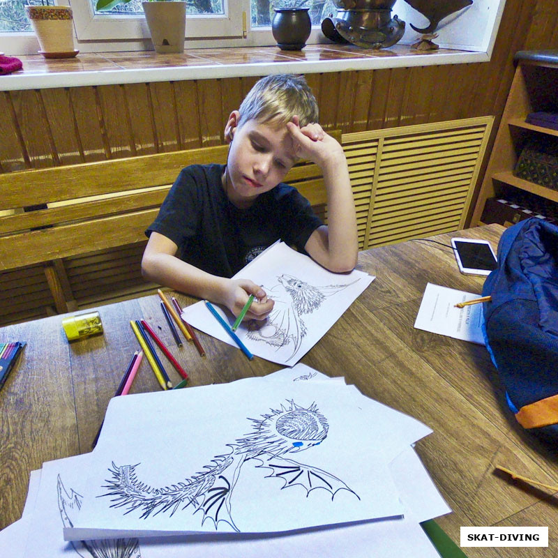 Тюрин Даниил, пока взрослые учатся фотографировать, дети учатся рисовать