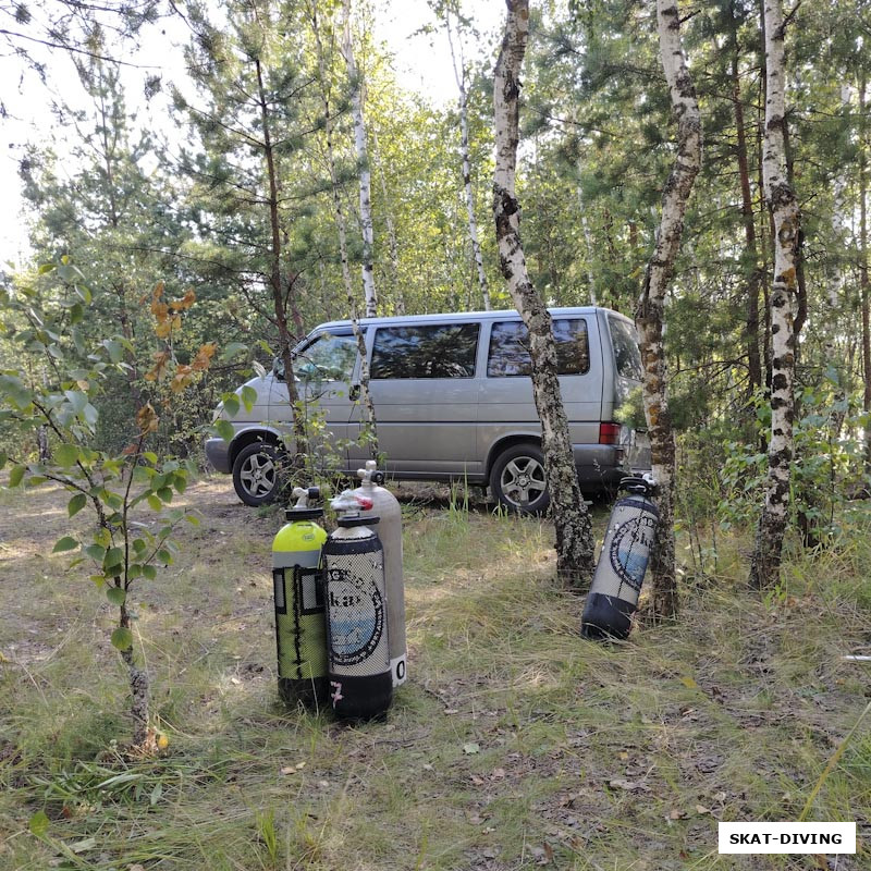 Когда клуб приезжает в лес, начинают расти странные грибы