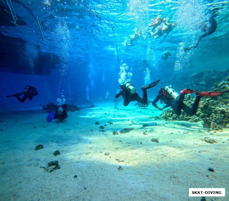 Первый день - проверочный, check-dive, знакомство гида с командой