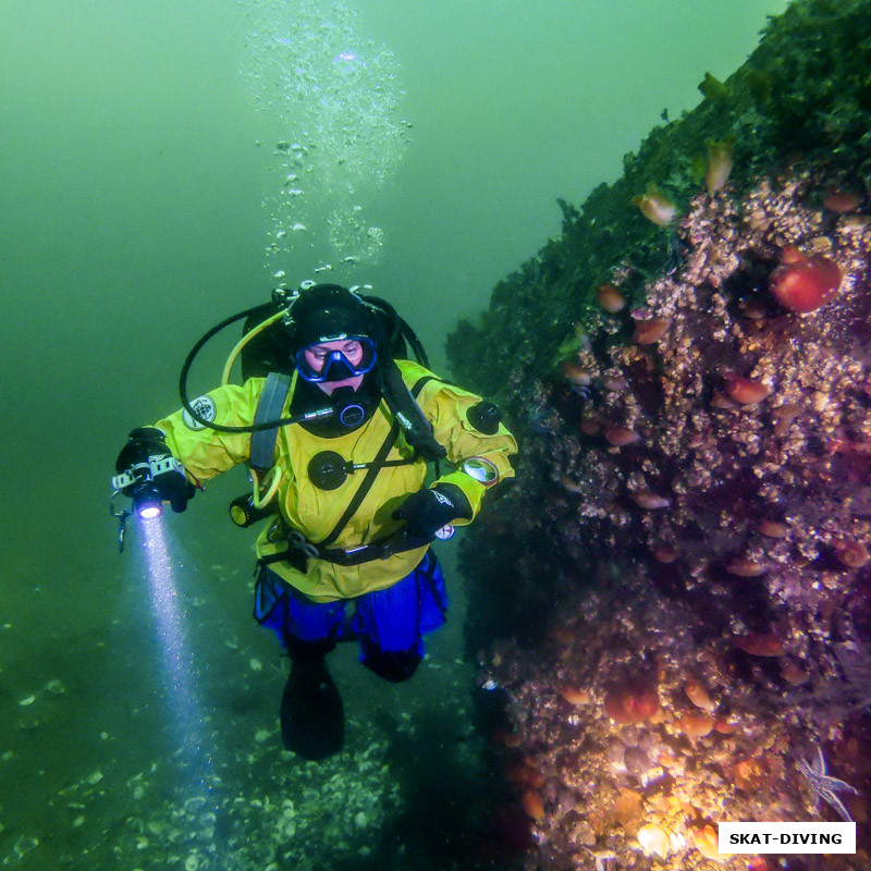 Сельманович Татьяна, за трансформацией нашего самого выдающегося DRY SUIT дайвера было интересно наблюдать в эту поездку: из не хочу в хочу еще