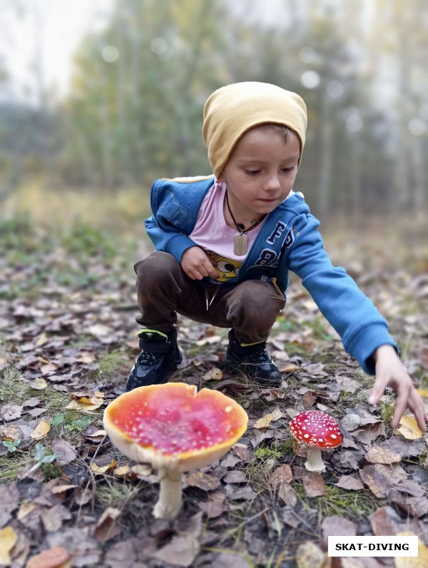 Романов Павел, было и чем заняться на берегу, вон грибы какие вкусные растут