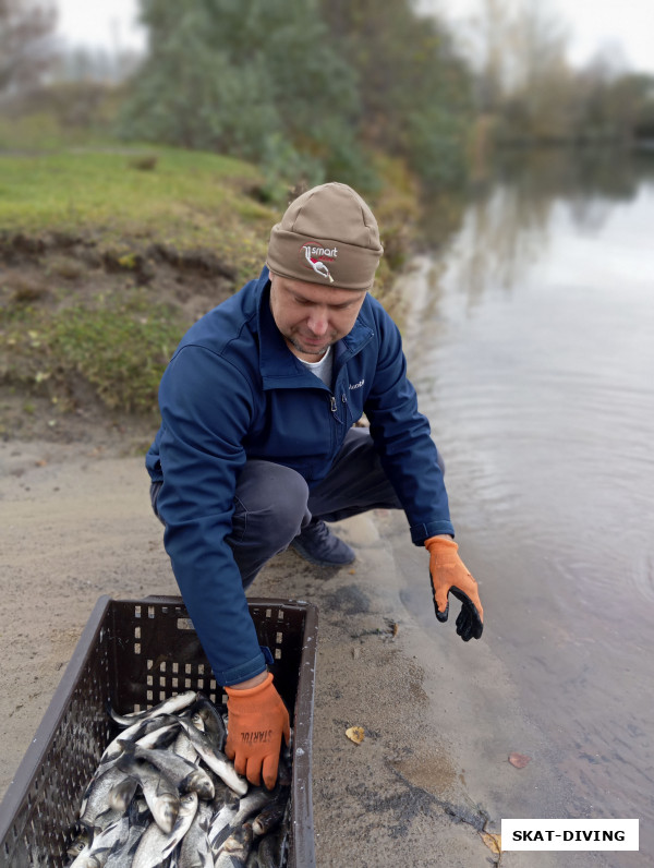 Леонов Дмитрий, удивительно смотреть, как эти крохи, упираясь на отмели у берега, плывут вглубь своего нового дома
