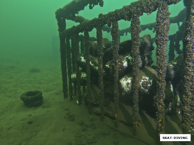 Ну а теперь обещанные подводные фото