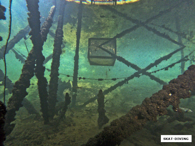 А это место мы прозвали "Океанариум"