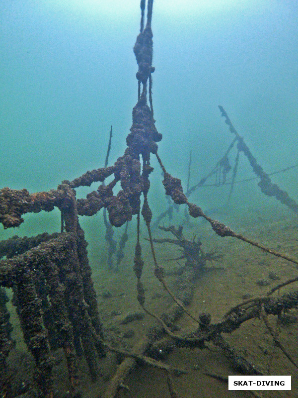 Понимаете, почему "Цирк"?