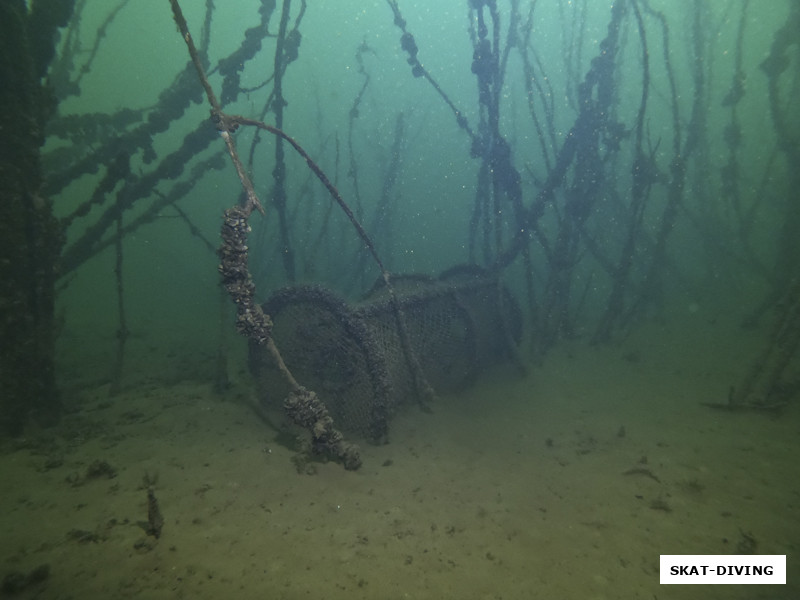 А это снято во время прогулки по "Мангровым Лесам", еще одной удивительной локации Керамзита