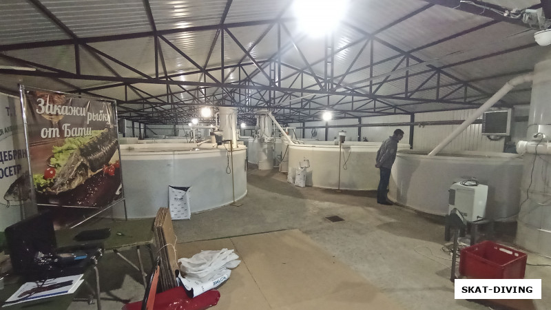 Внутри фермы "Дебрянский Осетр", иногда тут проводят экскурсии для групп туристов, обычно детских