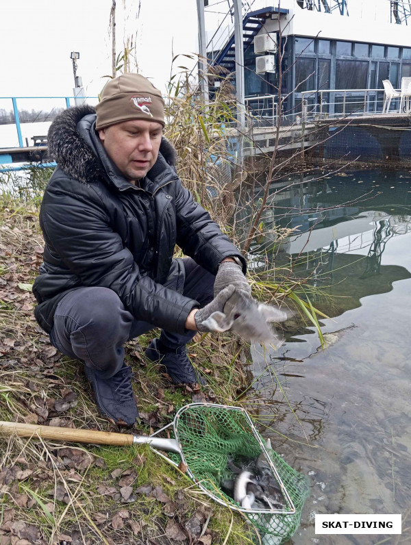 Леонов Дмитрий, на самом деле было привезено 60 осетров, но пять самых крупных мы выпустили в загон хозяину плавучего дома в качестве благодарности