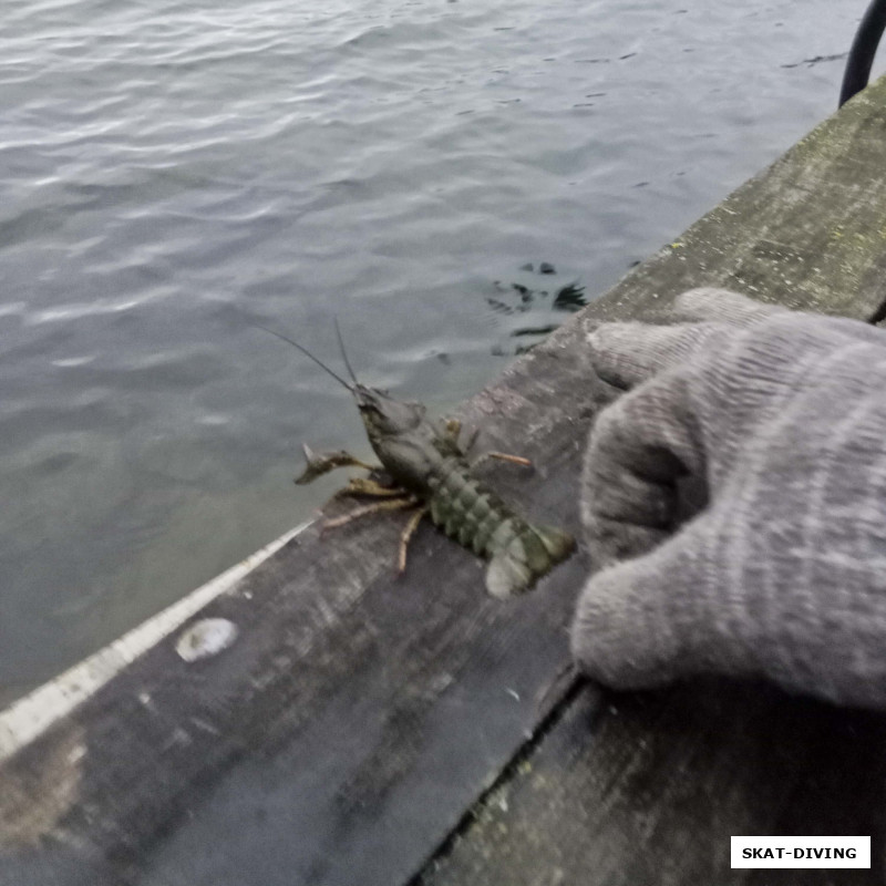 Отправлялись они в воду с плавучего дома, в разных местах и разным способом, кому-то достался "счастливый пендоль"