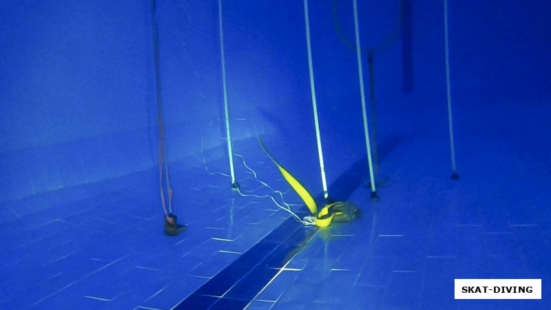 Пыточная для будущих подводных охотников готова