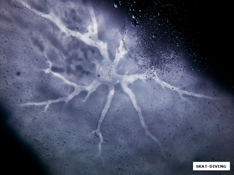 А вы знали, что новые галактики зарождаются во льдах Керамзита?