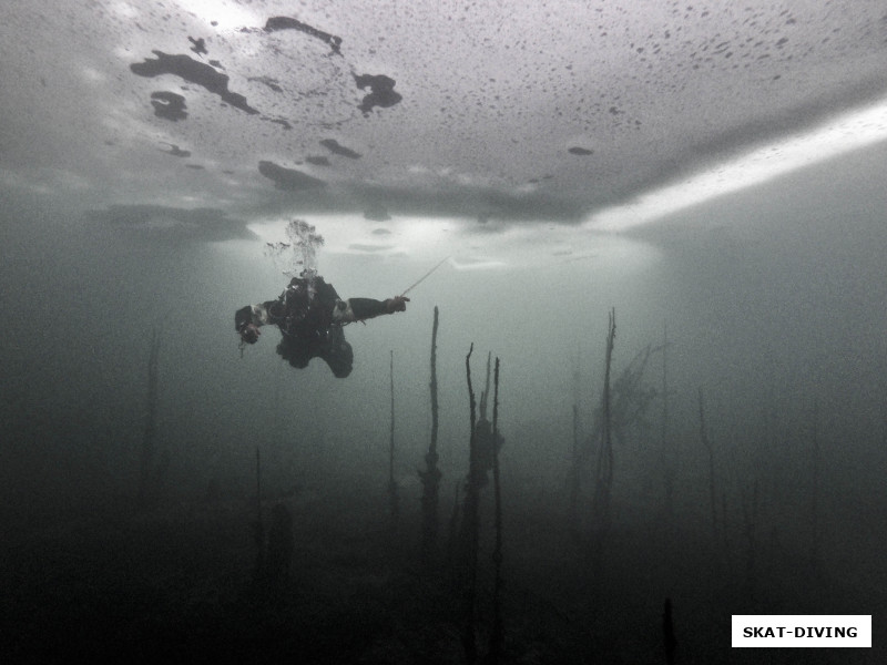 Температура воды около 2.5 градусов, далеко не все дайверы могут адаптироваться к таким условиям