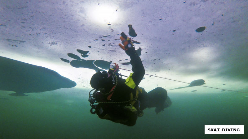 Федорук Дмитрий, берет образцы арктического льда для "РГО"