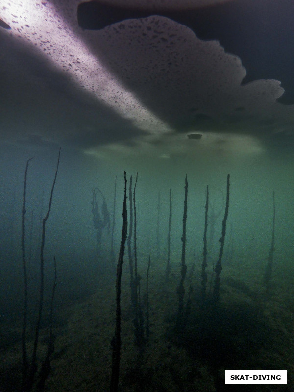 Говорят сам Иван Грозный готовил это место к приходу дайверов