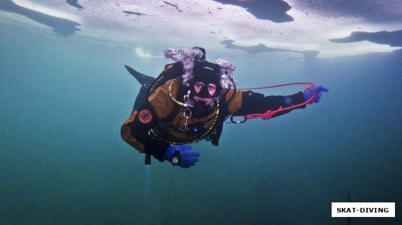 Щербаков Дмитрий,