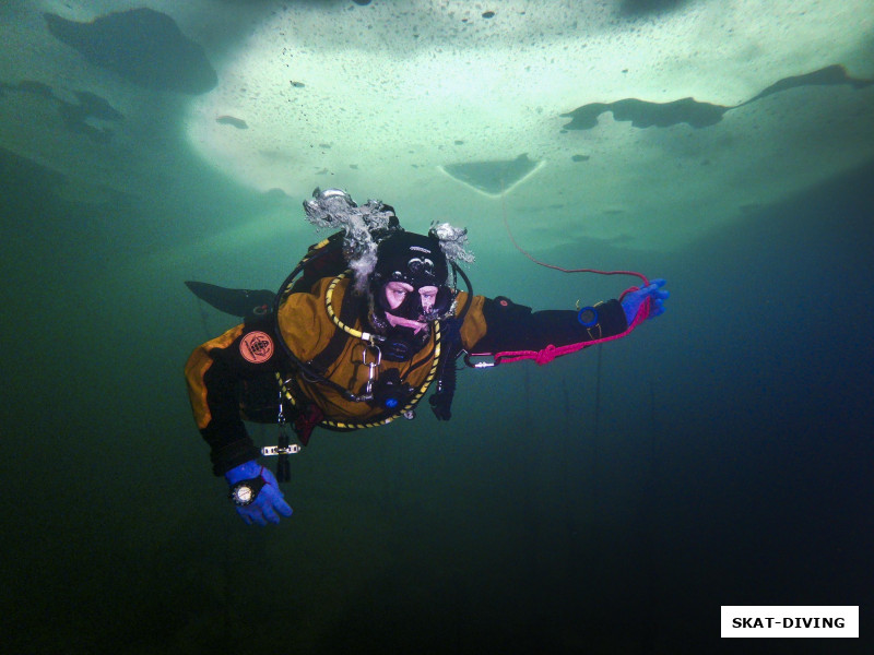 Щербаков Дмитрий, пришел утром в клуб с неуверенностью, что будет нырять...