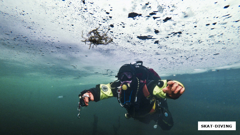 Федорук Дмитрий, "кочующие водоросли" ищу для себя новый дом на следующий сезон
