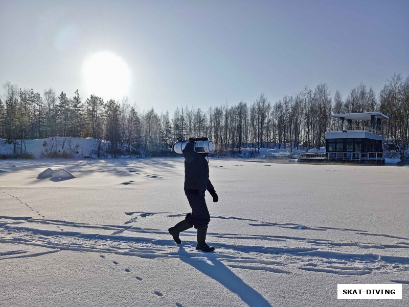 Жизнь полярника - непростая история, из-за долгого пребывания во льдах начинают мерещиться деревья