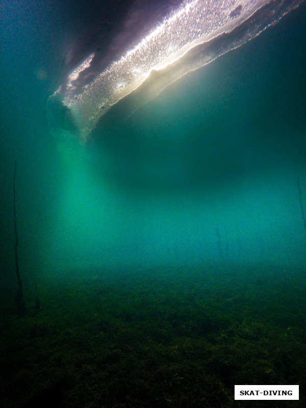 По Божьей милости все собралось в одном месте, подарив всем нам прекрасные подводные воспоминания