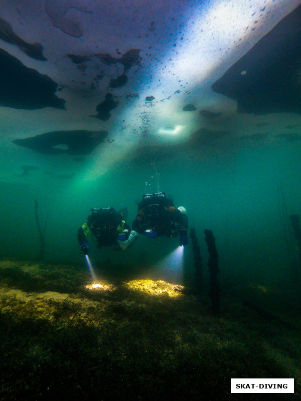 Федорук Дмитрий, Леонов Дмитрий, "после того, как включили свет"