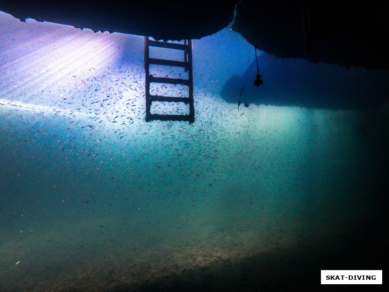 Подпиши это фото "В порту Шарм-эль-Шейха", многие бы усомнились?