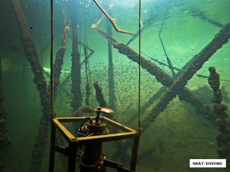 Сцена из "Капитан Немо". Под плавучим домом все по-прежнему: вентиляторы не дают встать льду, тысячам мелких рыб это очень нравится