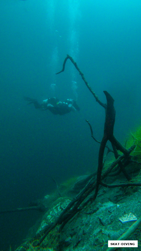 "Черт на рыбалке" - сегодня дайверам повезло