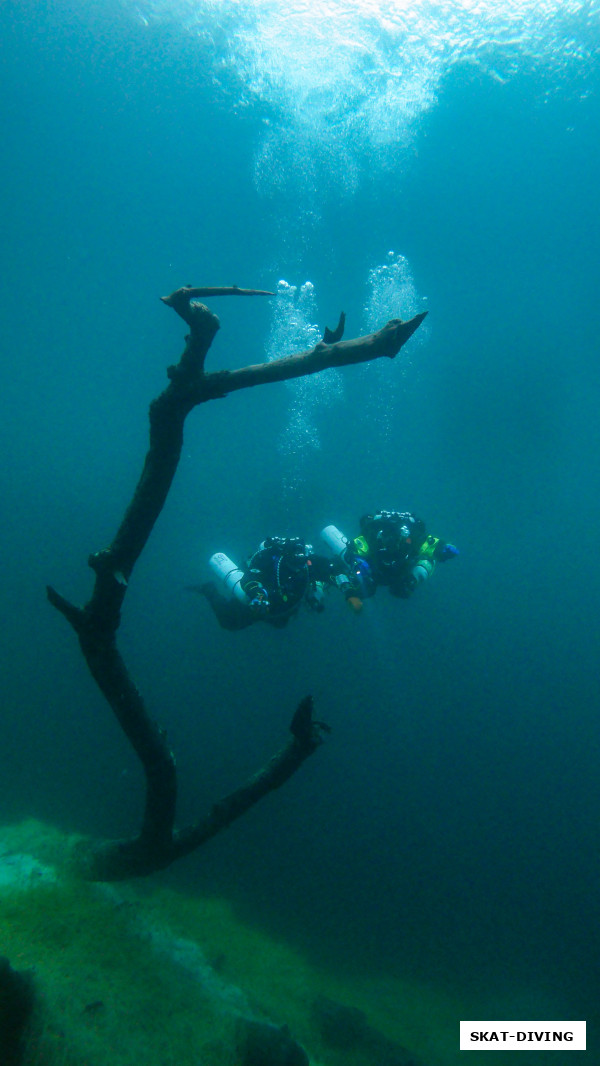 Филиппов Родион, Федорук Дмитрий, живое и неживое гармонично дополняют друг друга