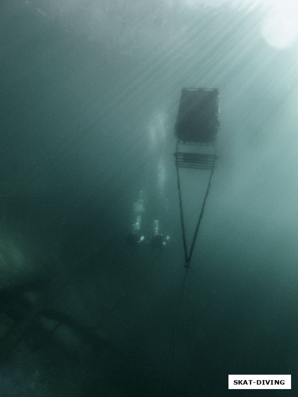 "Хабитат" - картина карандашом