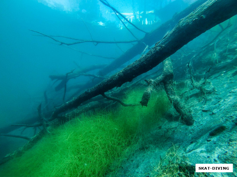 Это уже берег ближе к родненькому дайв-центру
