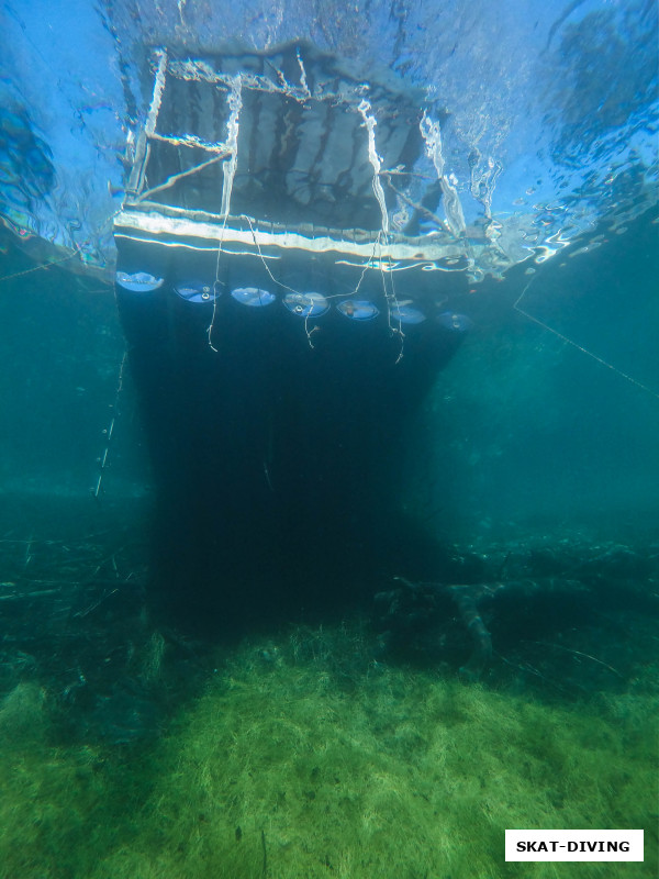 А погружение обычно заканчивается вот таким видом на причал, с которого, собственно, и начинается