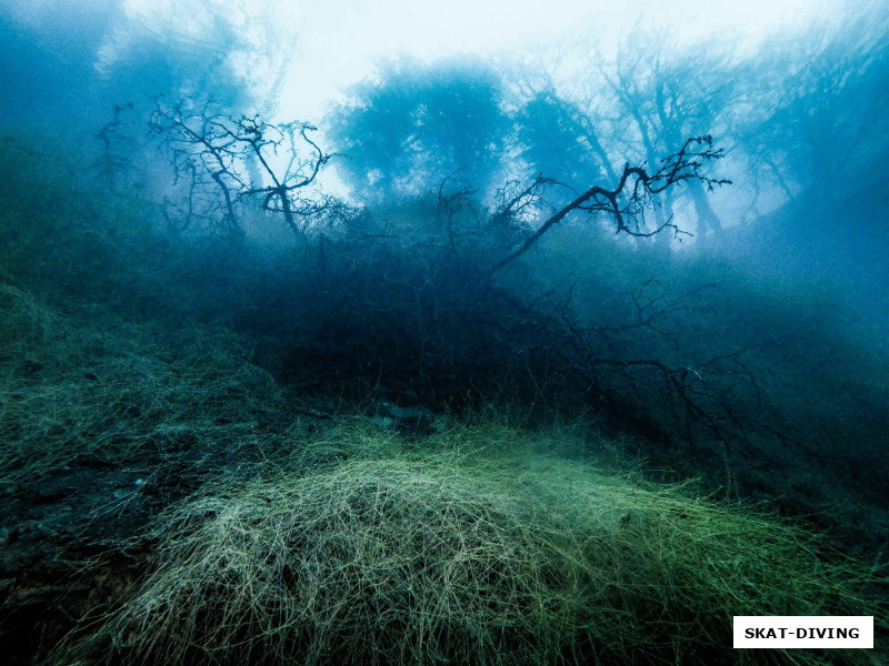 Когда огромная морская звезда мчится по склону вниз чтобы тебя схавать