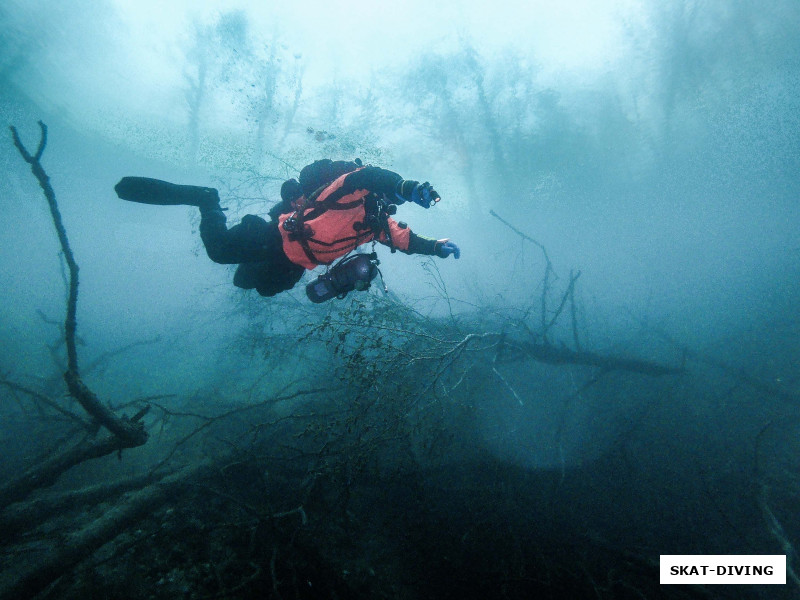 Касилов Евгений, когда ты самый яркий под водой